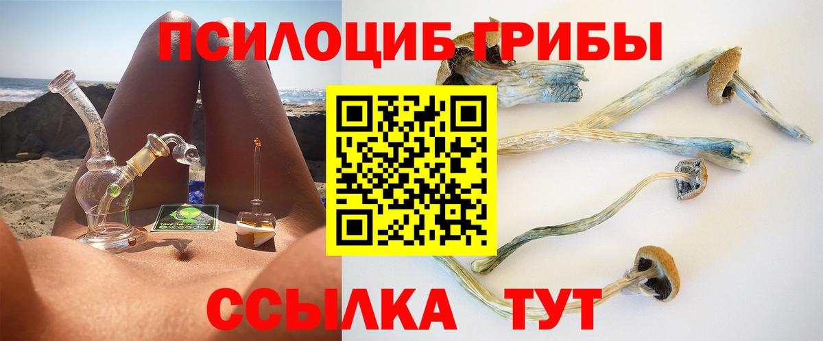 Галлюциногенные грибы Psilocybe Десногорск